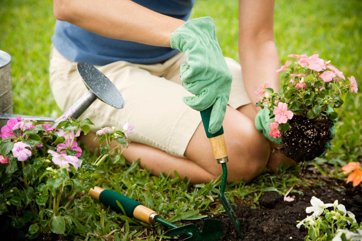 Perchè è terapeutico fare giardinaggio?